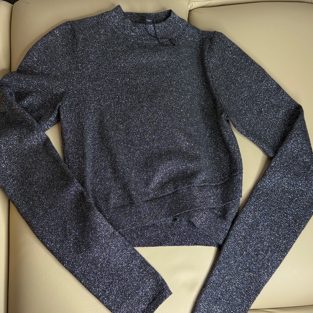 Express Metallic Knit Sweater